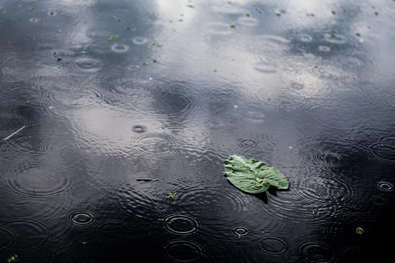 Wearing Sandals in the Rain: Tips for Protecting Your Feet and Shoes